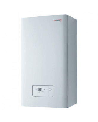 Котел газовий Protherm Гепард 23 МTV